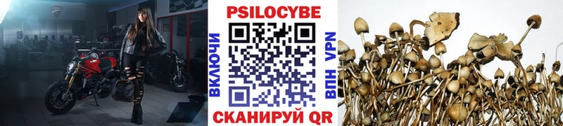Купить где  Кукмор  Псилоцибиновые грибы Magic Shrooms 